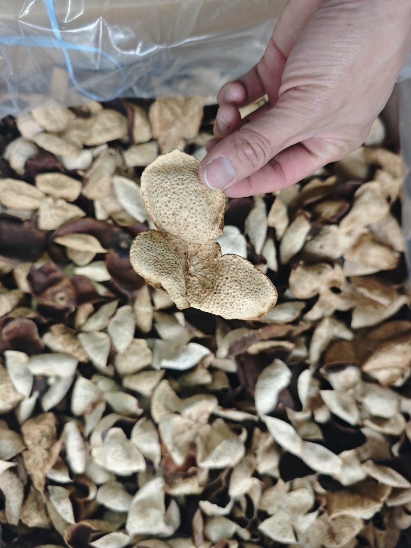 便宜新会茶枝柑三花二红陈皮大果——产地直发