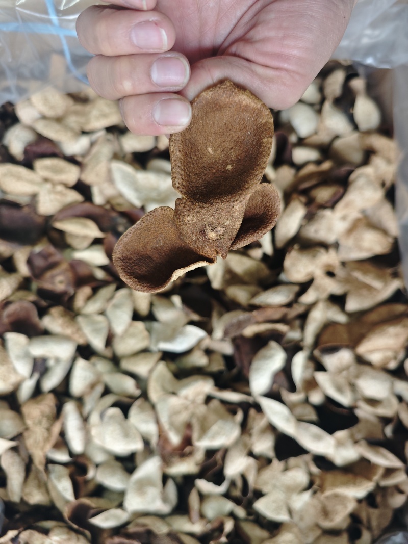 便宜新会茶枝柑三花二红陈皮大果——产地直发