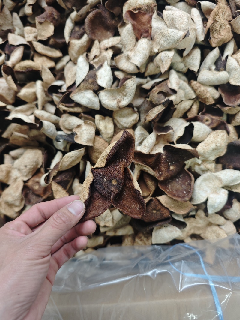 便宜新会茶枝柑三花二红陈皮大果——产地直发