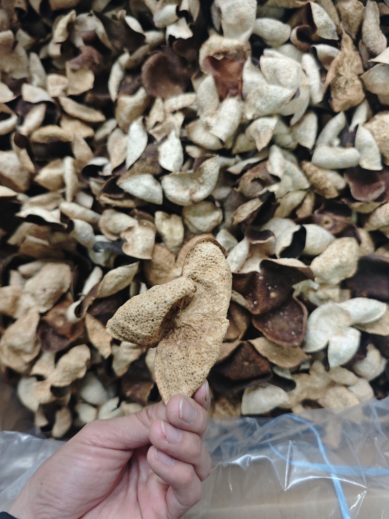 便宜新会茶枝柑三花二红陈皮大果——产地直发