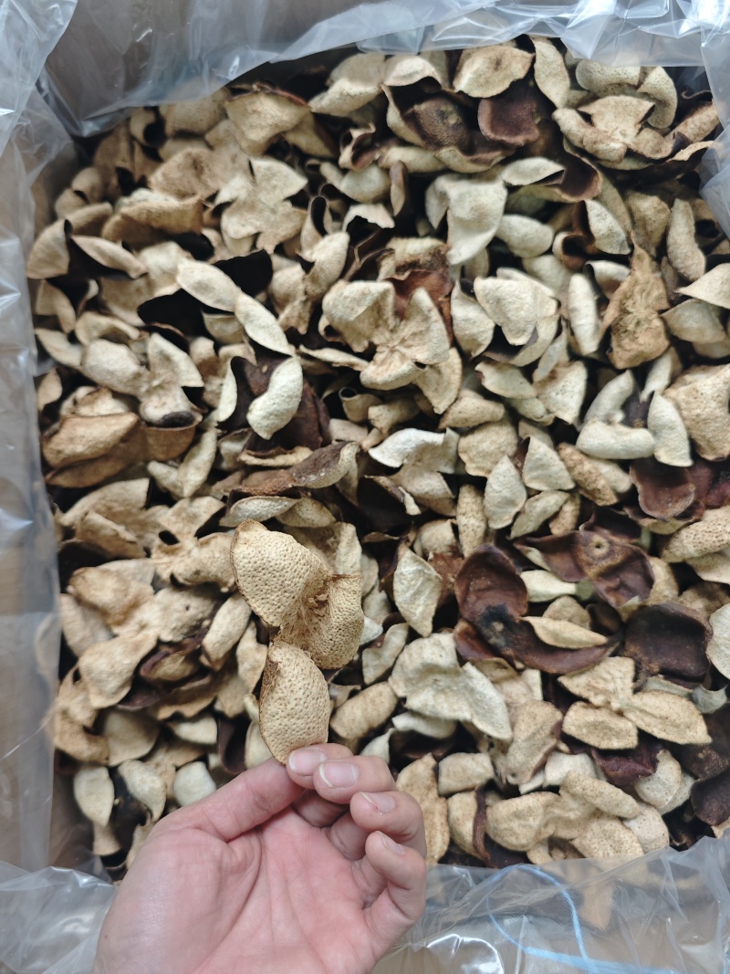 便宜新会茶枝柑三花二红陈皮大果——产地直发