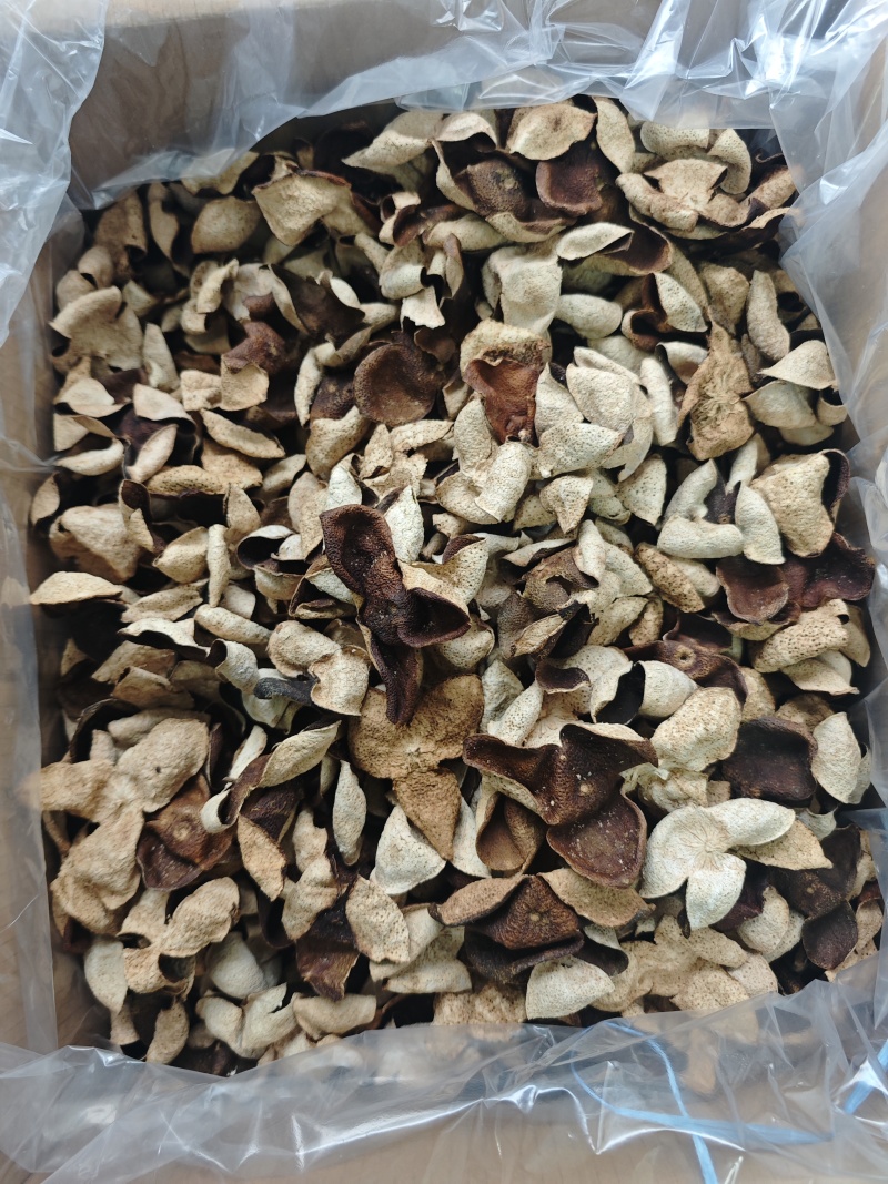 便宜新会茶枝柑三花二红陈皮大果——产地直发