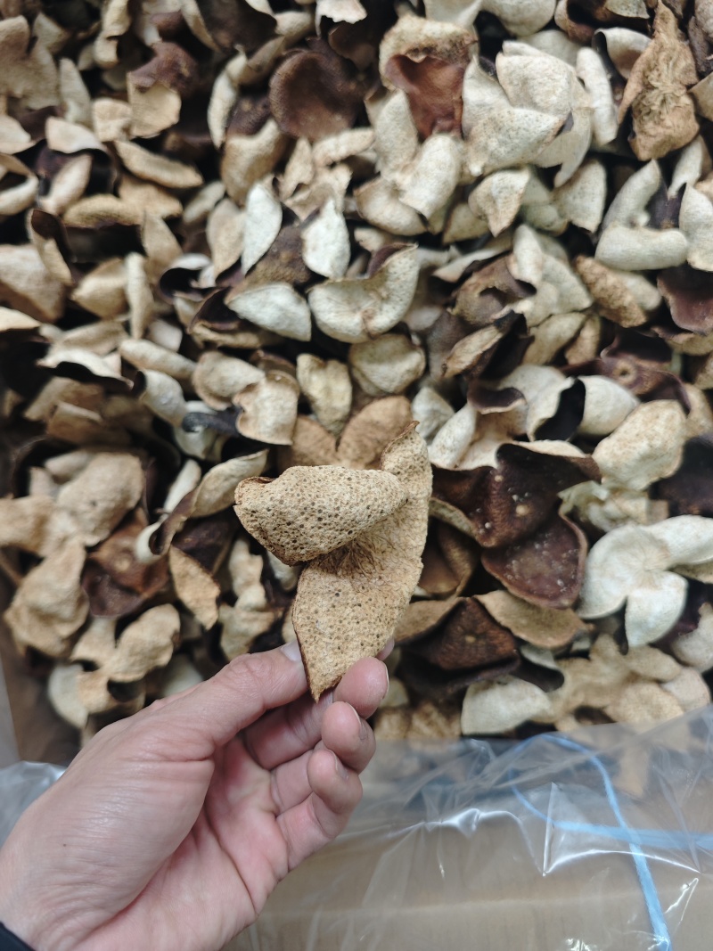 便宜新会茶枝柑三花二红陈皮大果——产地直发