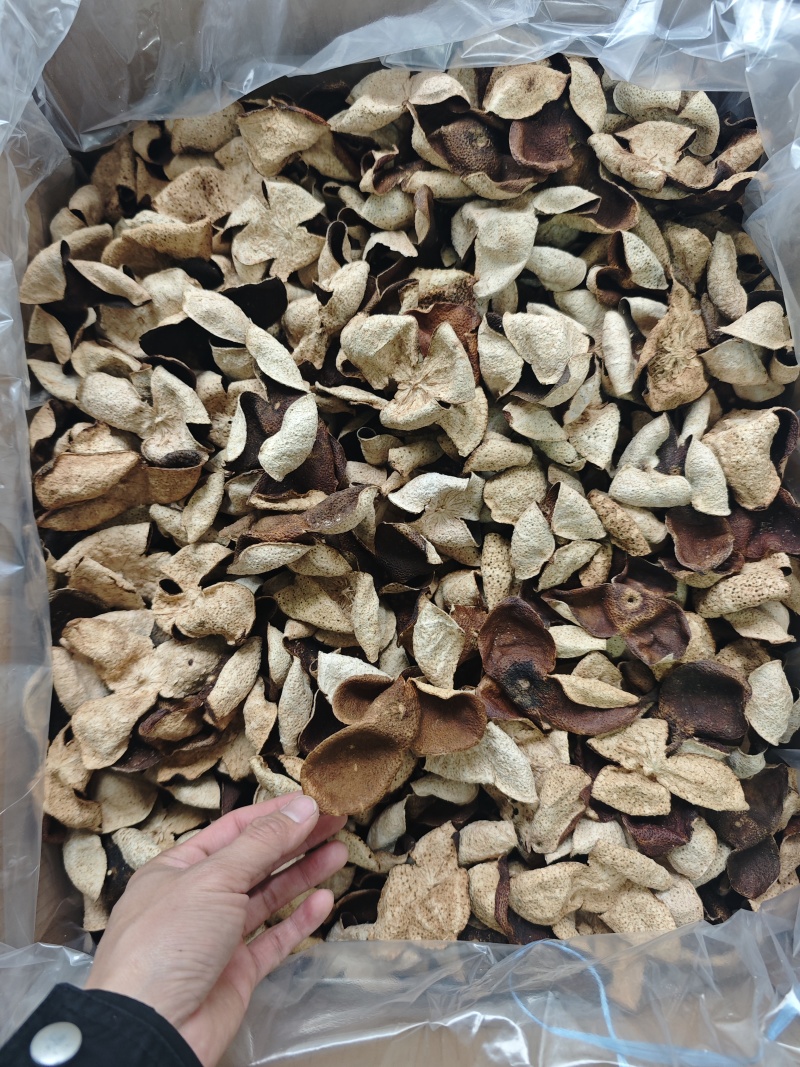 便宜新会茶枝柑三花二红陈皮大果——产地直发