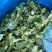 低价甩卖上海本地头茬新鲜菜心菜尖菜苔青菜苔地