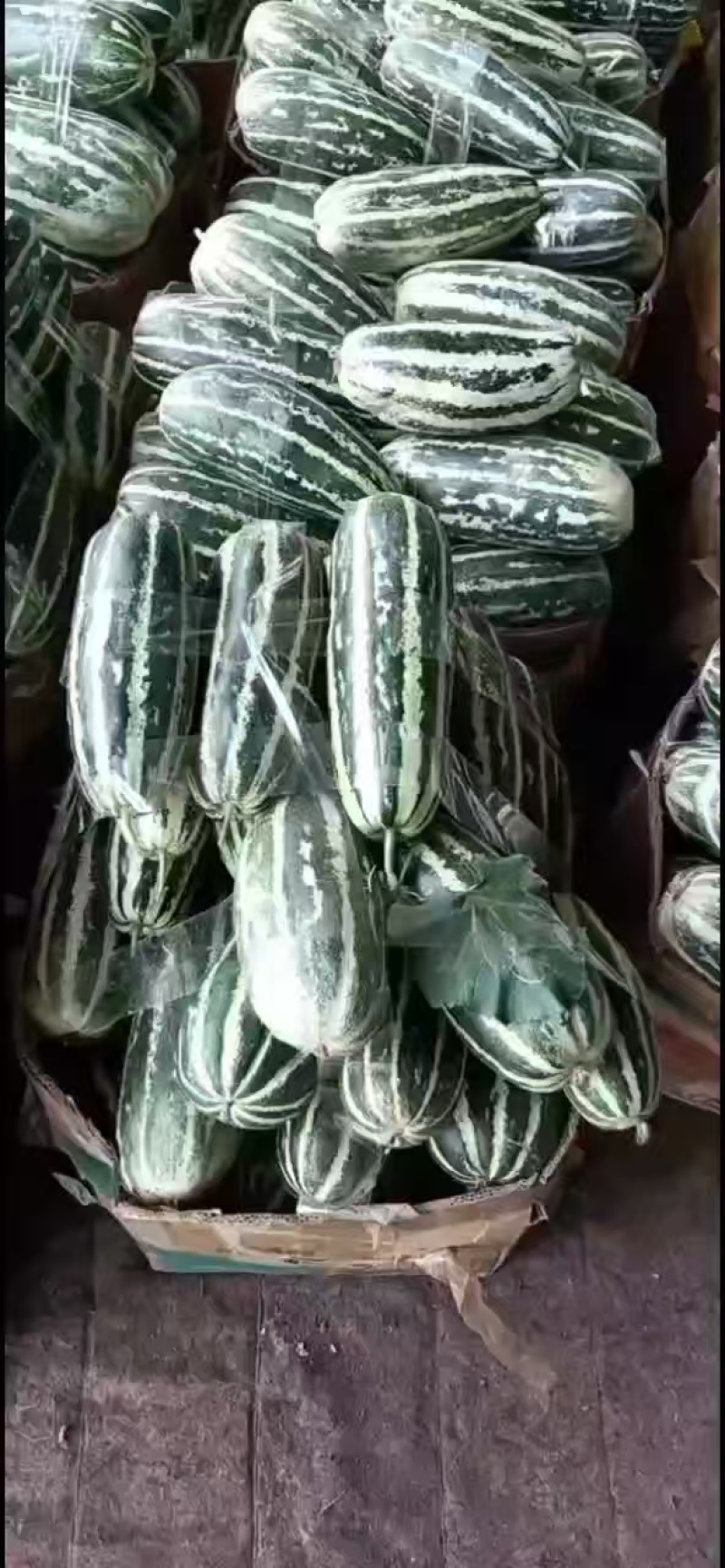 博洋9号，大量有货，产地一手货源，欢迎新老客户前来合作