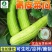 青皮菜瓜种子-绿皮白肉汁多/食之清香甜美甜脆