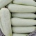 【博洋61】新乐博洋甜瓜头茬瓜形好糖分足耐运输承接电商直