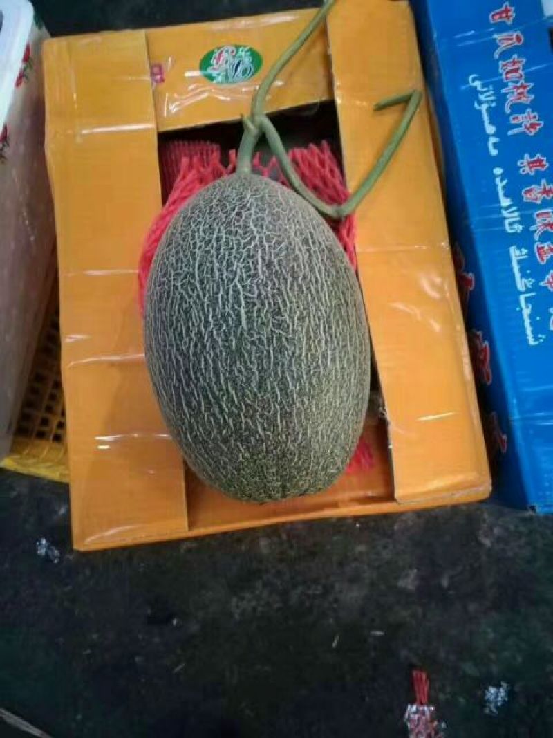 西州蜜瓜3斤以上椭圆形哈密瓜甜度高全国发货