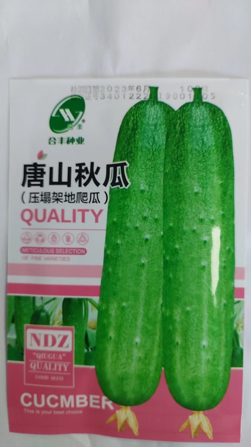 唐山秋瓜-黄瓜种子肉质脆嫩耐热耐寒抗病力强春秋可种