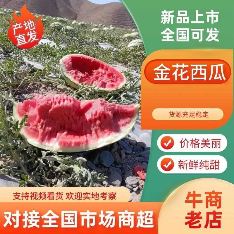 忻州西瓜硒砂瓜、双红金城五西瓜，金花西瓜。实力代办