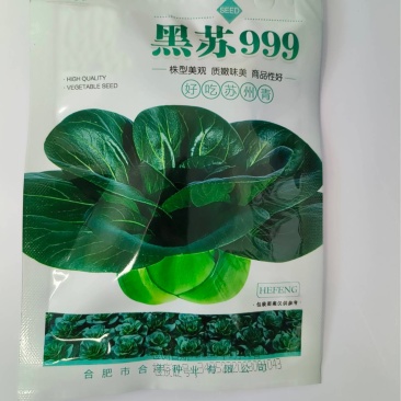 黑苏999-苏州青种子早熟丰产耐热耐寒抗病叶片厚无纤维