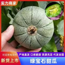 【绿宝】河北绿宝石甜瓜绿皮绿瓤大小均匀视频看货实地看货