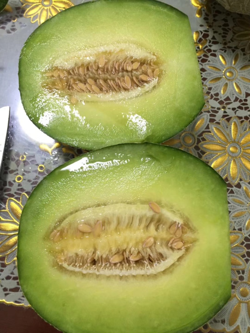 【绿宝】河北绿宝石甜瓜绿皮绿瓤大小均匀视频看货实地看货