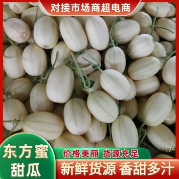 东方密1号1斤以上长圆形山东莘县种植基地