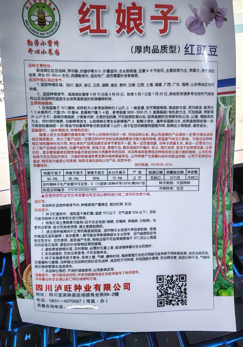 红豇豆种子红娘子新育成特色紫红色长豇豆品种品质好