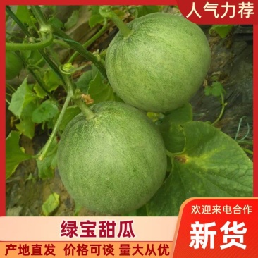 绿宝甜瓜0.5斤以上精品产地直供各种甜瓜齐全