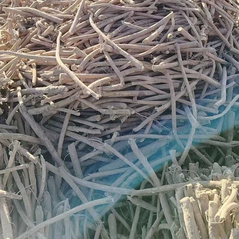 内蒙古精选黄芪，地道中药材，基地直发，可视频看货