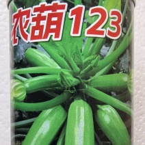 西葫芦种子农葫123油绿条瓜码密抗病保护地露地春秋