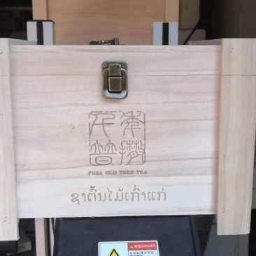 精品单株古树生普