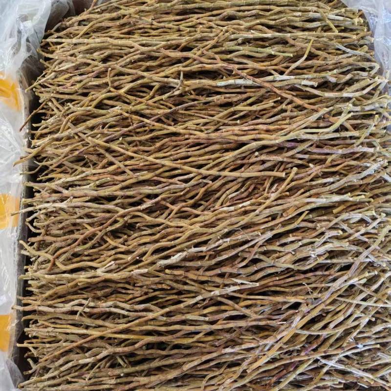 铁皮石斛干条铁皮石斛铁皮石斛粉石斛石斛条