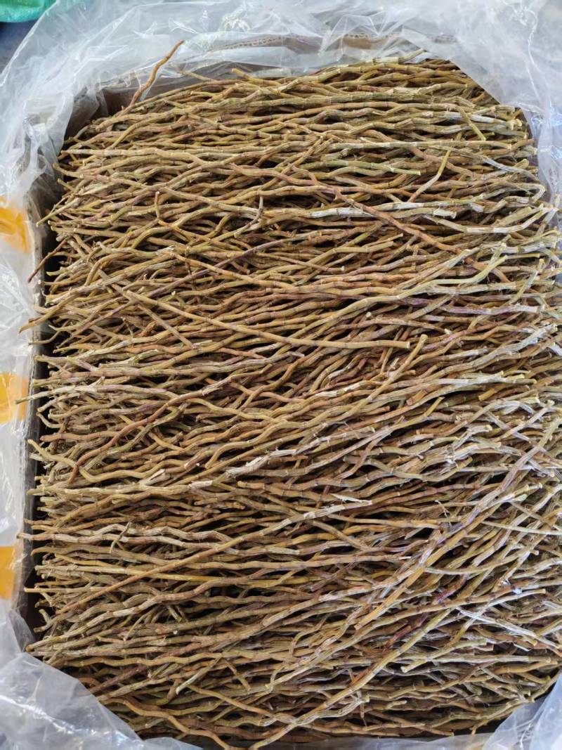 铁皮石斛干条铁皮石斛铁皮石斛粉石斛石斛条