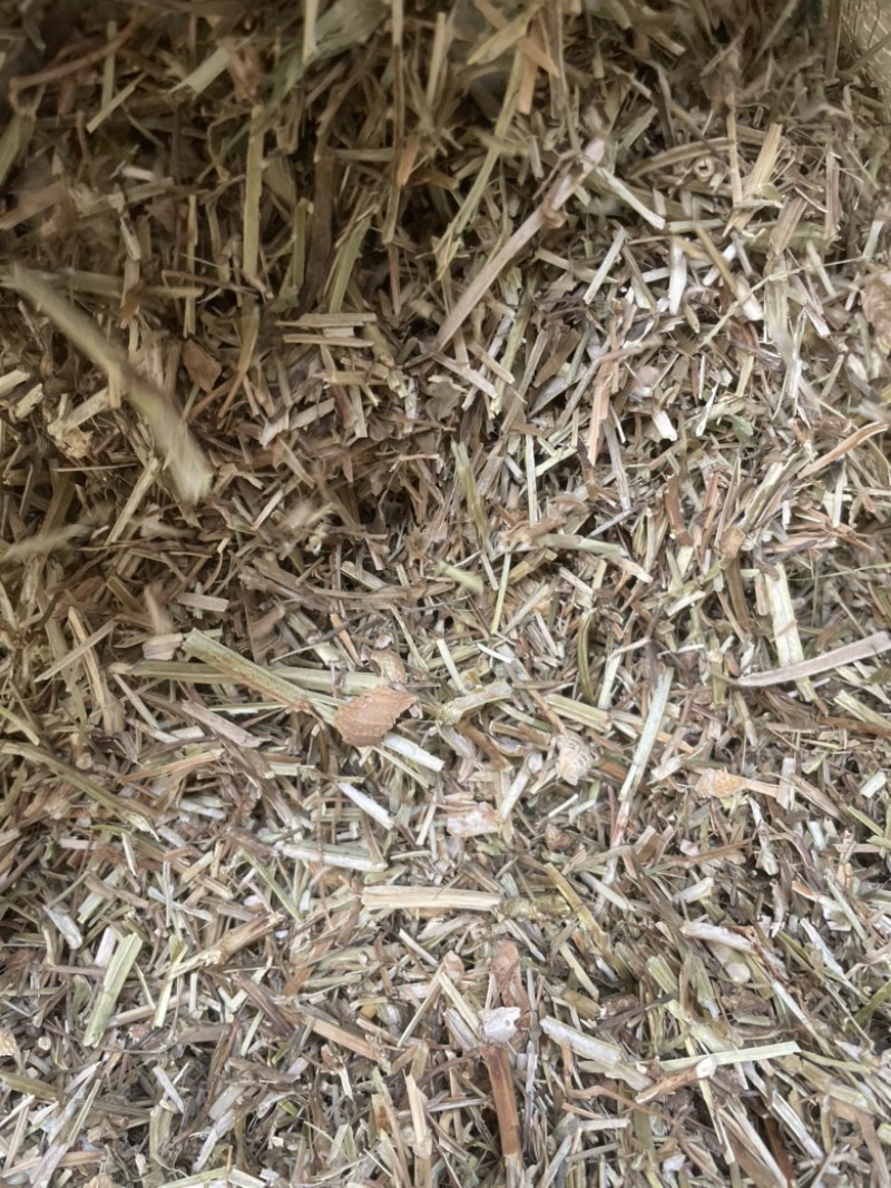 长年出售花生秧子无霉变保证质量，可视频看货，全国发货