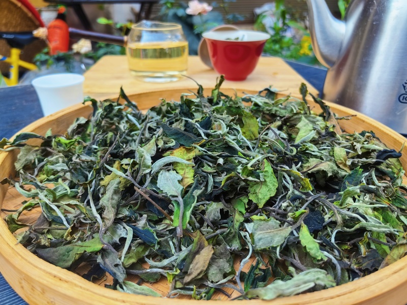 普洱白茶