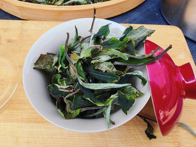 普洱白茶