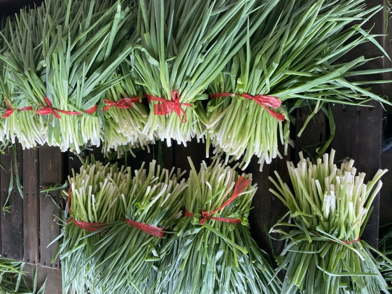 小葱，加工厂用葱，出口级别