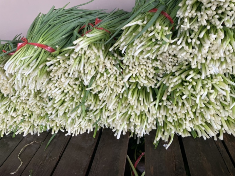 小葱，加工厂用葱，出口级别