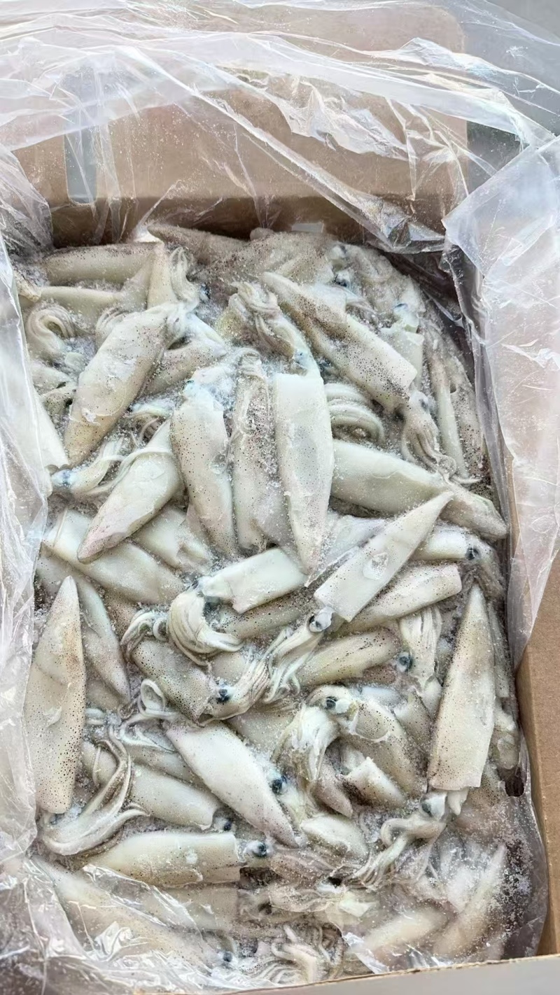笔管鱼