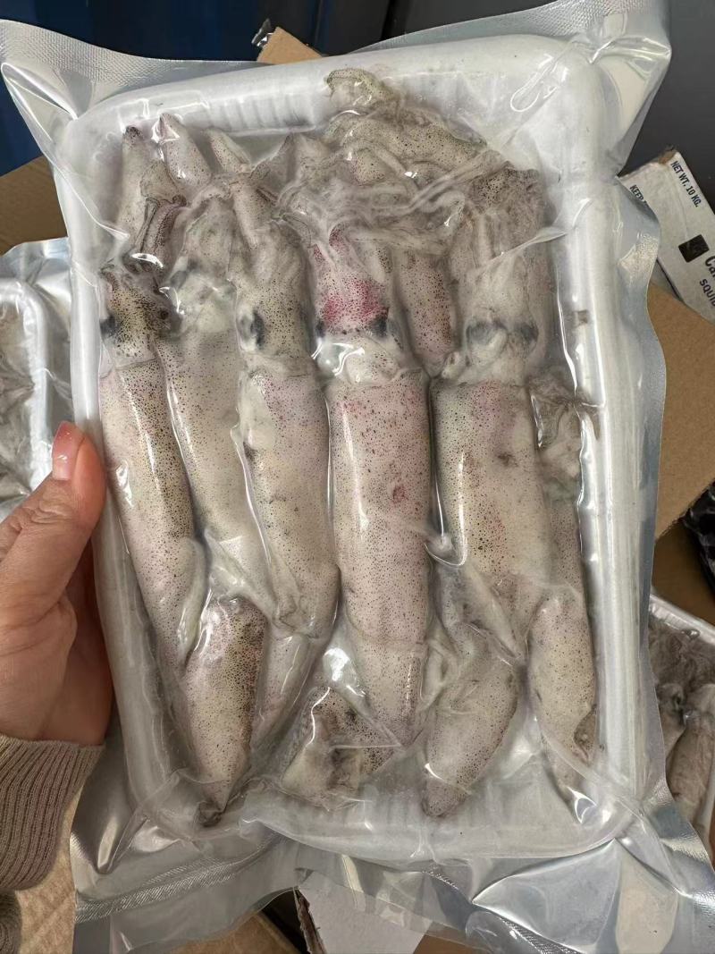 笔管鱼