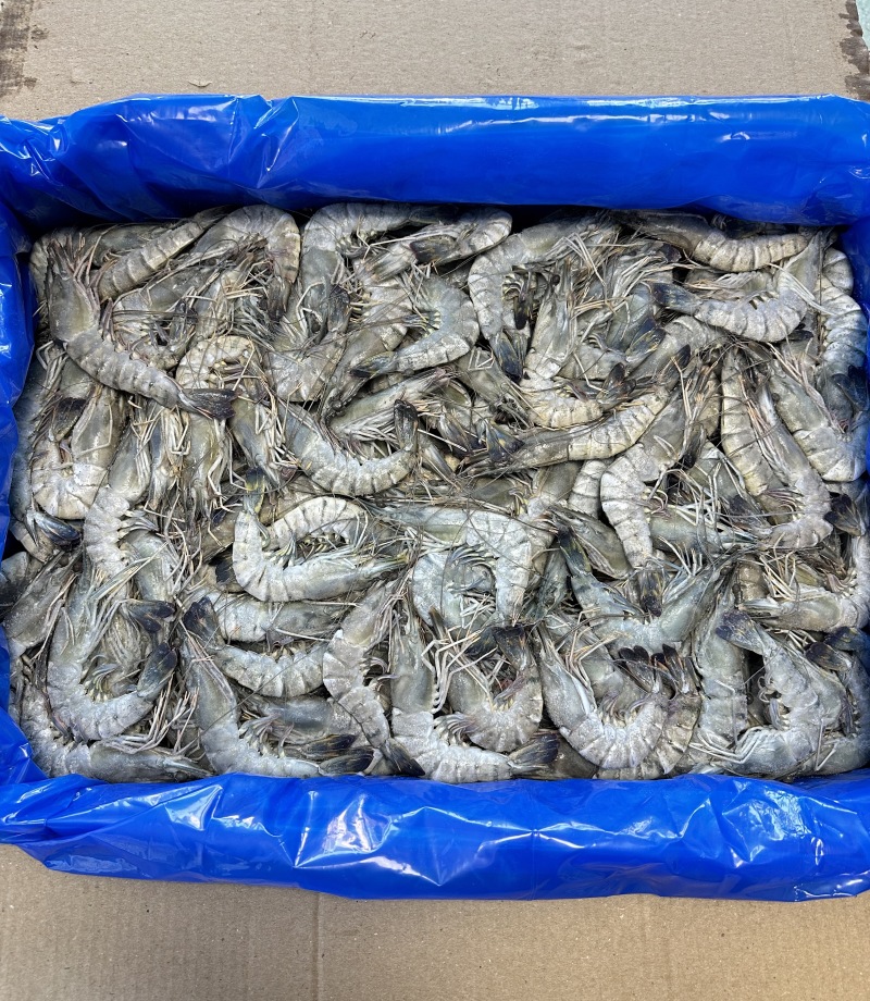 黑虎虾