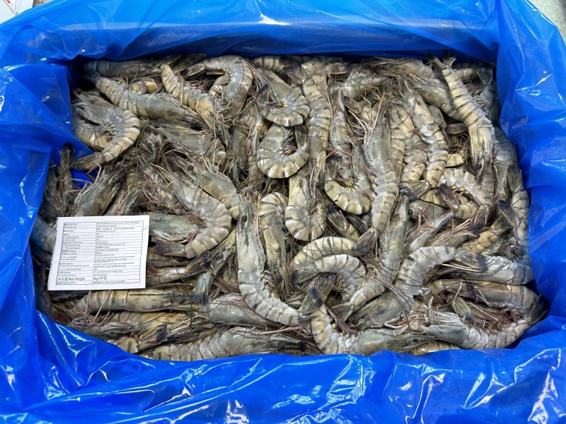 黑虎虾