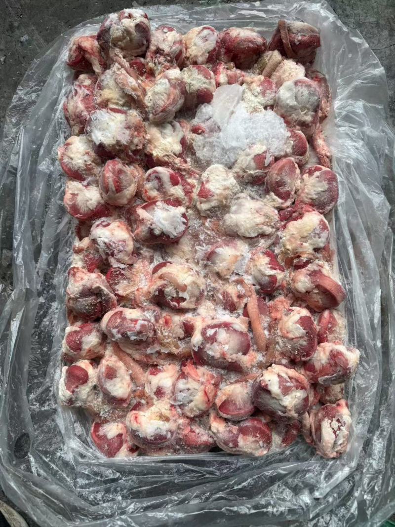 毛鸡胗毛鸭胗毛鹅胗长期有货