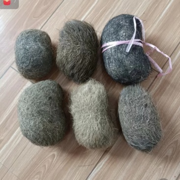 猪宝