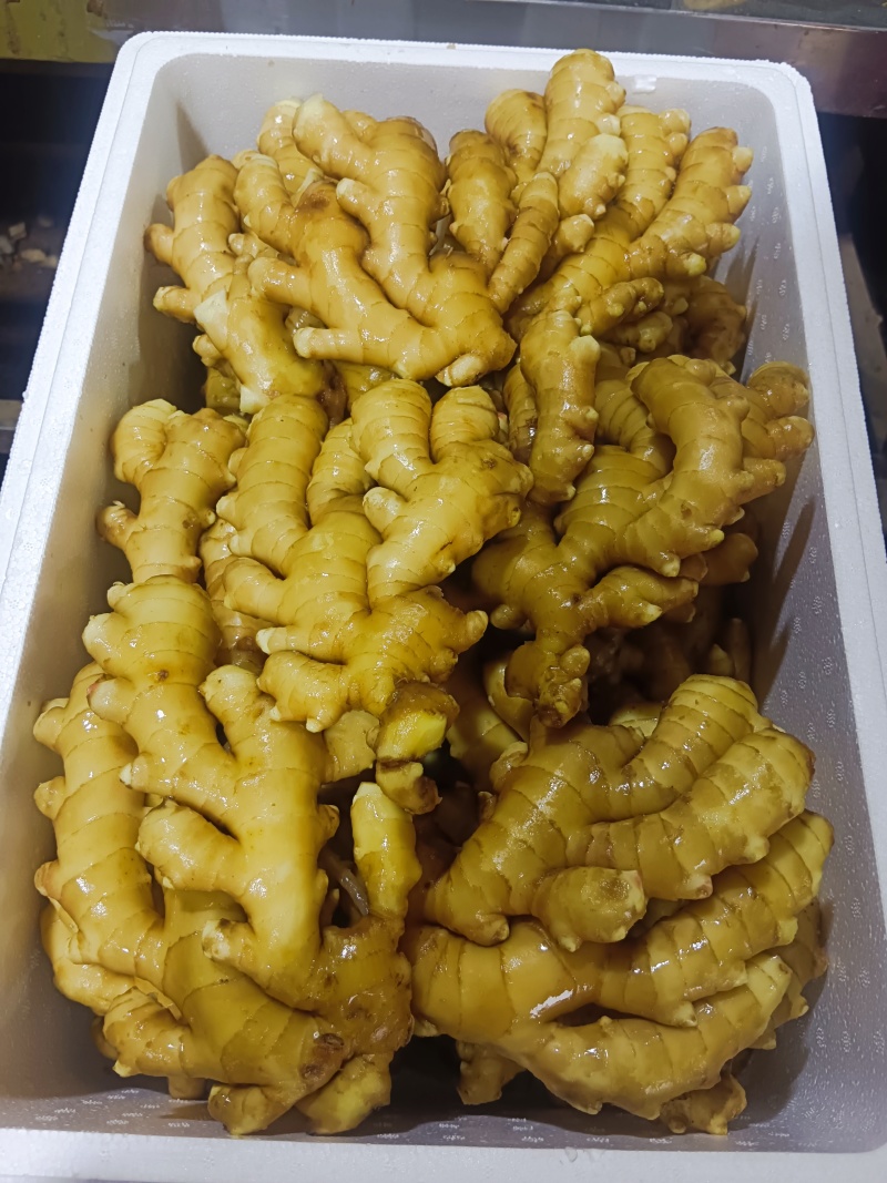山东优质沂蒙小黄姜，产地直发大量有货，欢迎全国老板采购