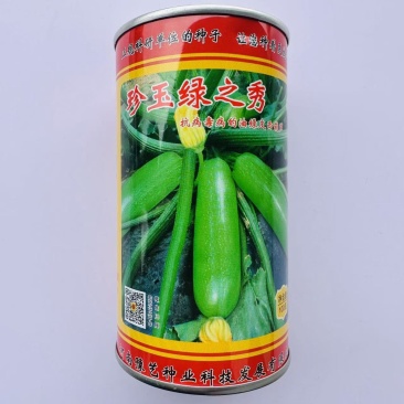 豫艺珍玉绿之秀西葫芦种子抗病毒油绿皮西葫芦种子占瓜种子蔬