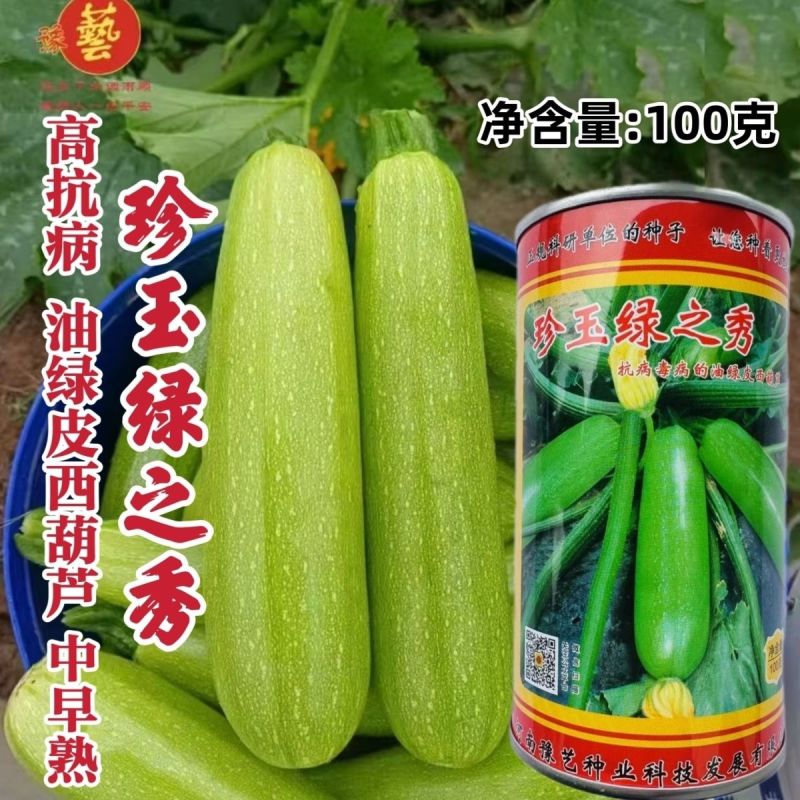 豫艺珍玉绿之秀西葫芦种子抗病毒油绿皮西葫芦种子占瓜种子蔬