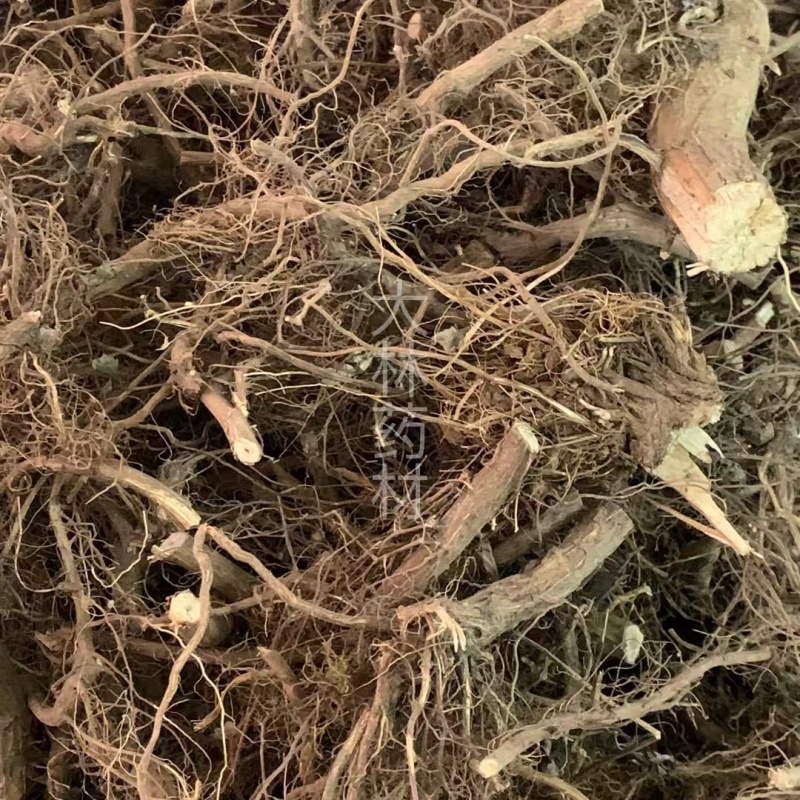 艾根【包邮】三斤起发货可批量可零售量大从优
