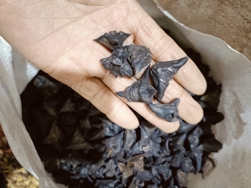 血见愁，中药材供应，质量保证价格优惠欢迎咨询购买