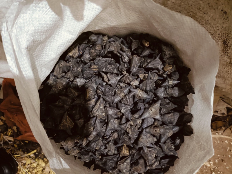 血见愁，中药材供应，质量保证价格优惠欢迎咨询购买