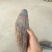 【热卖推荐】新疆肉苁蓉一手货源产地直发