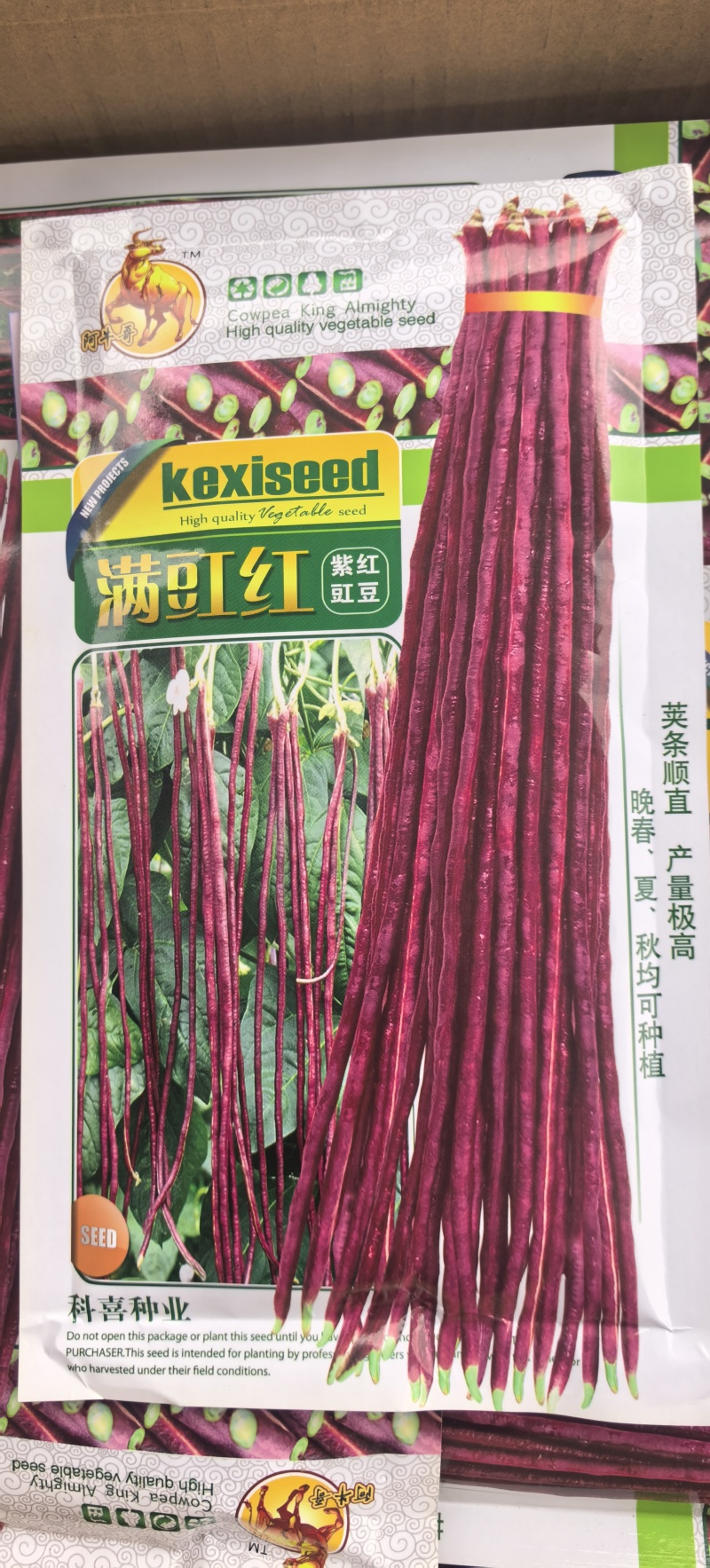 豇豆种子满豇红特色厚肉红豇豆荚条长且顺直