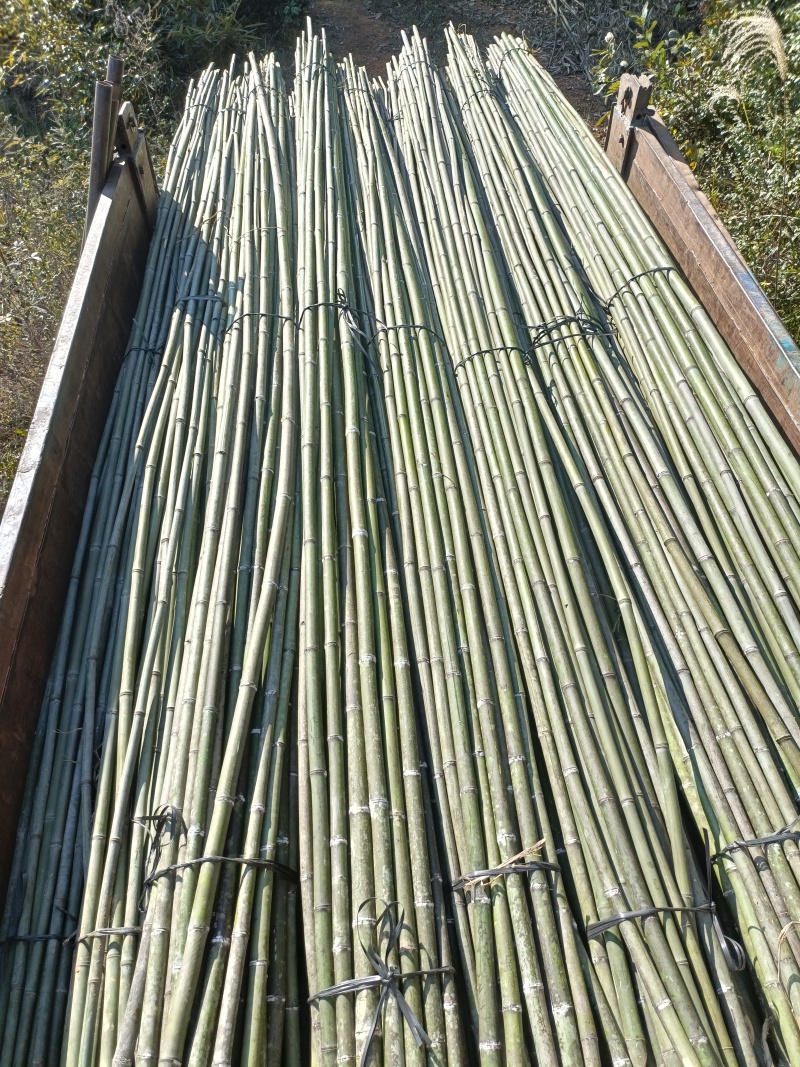 竹竿豆角架山药架辣椒杆菜架竹