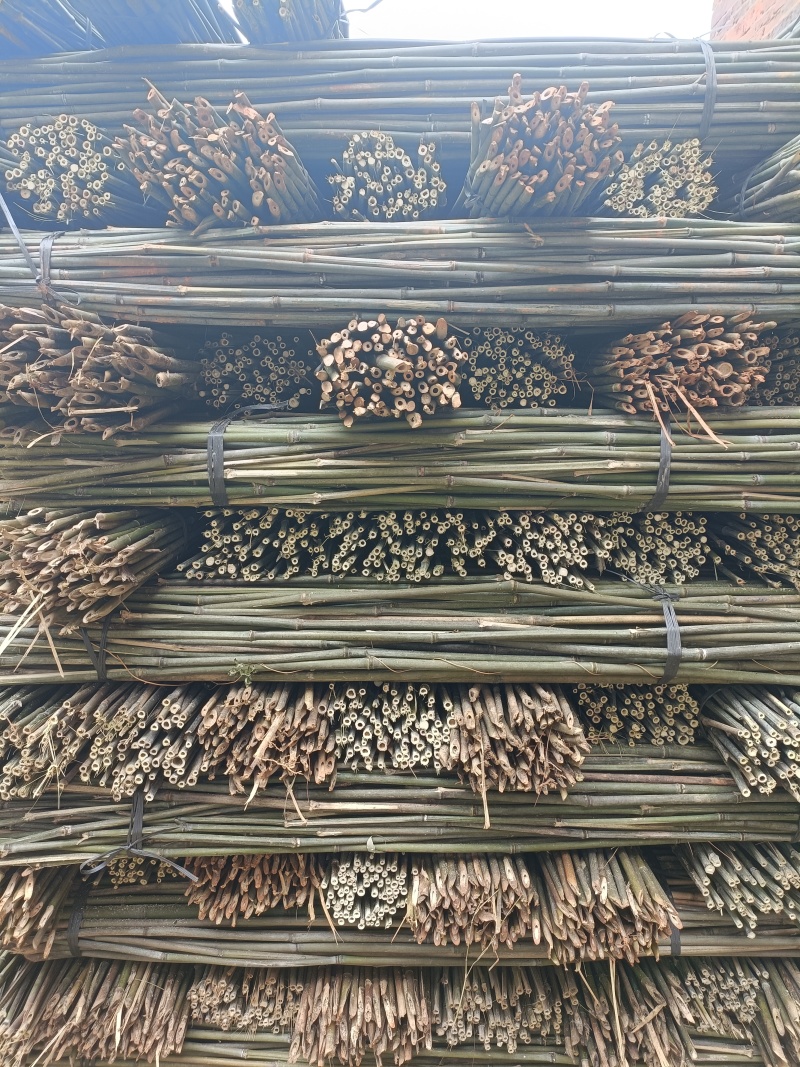 竹竿豆角架山药架辣椒杆菜架竹