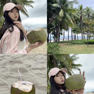 海南椰子大量供应，货源充足，价格实惠，水分充足