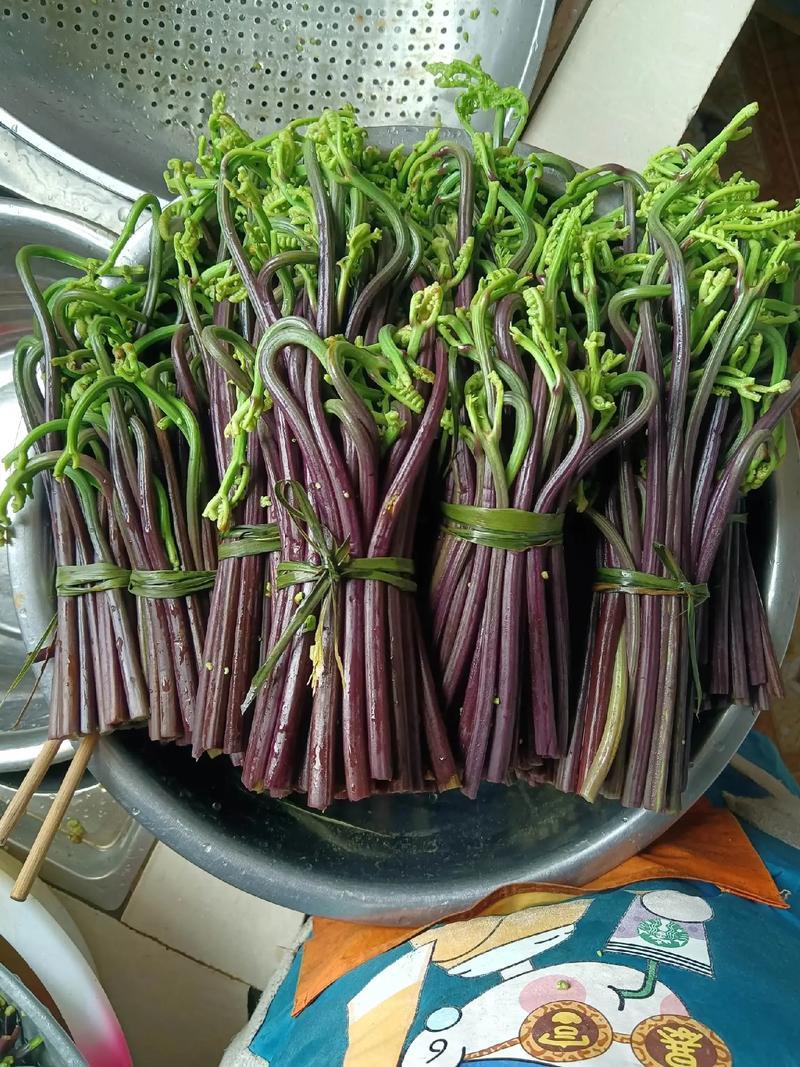 野生贵州
