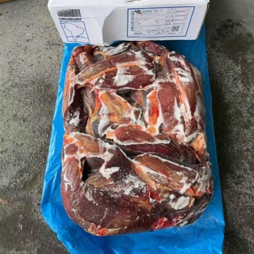 马前腱
